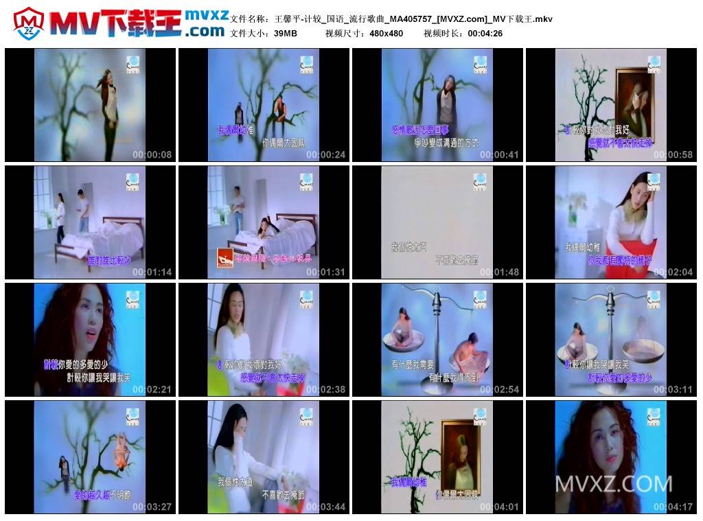 王馨平-计较_国语_流行歌曲_MA405757